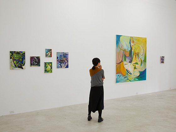 1-Installation view at Trish Clark Gallery Auckland 2019